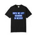 Oops! We left grandma in Mexico!